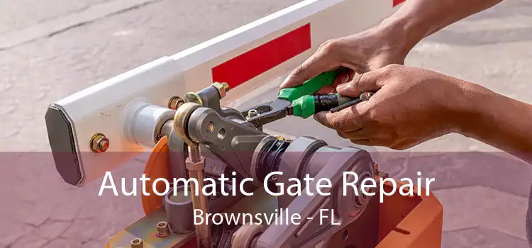  Automatic Gate Repair Brownsville - FL