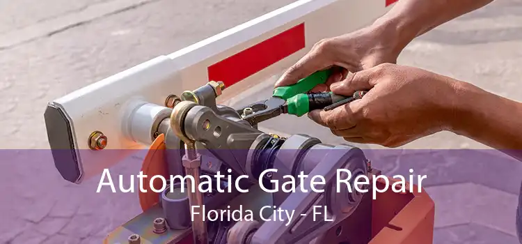  Automatic Gate Repair Florida City - FL