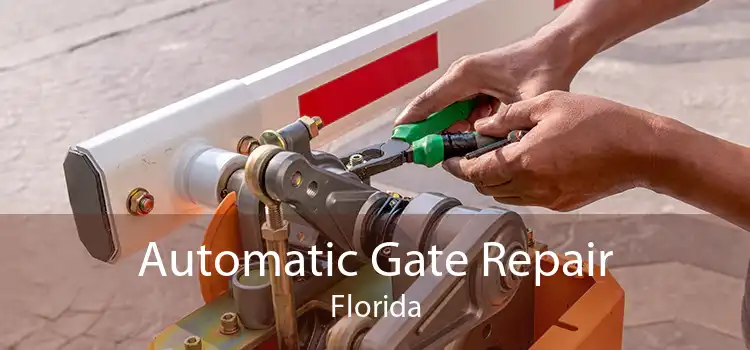  Automatic Gate Repair Florida