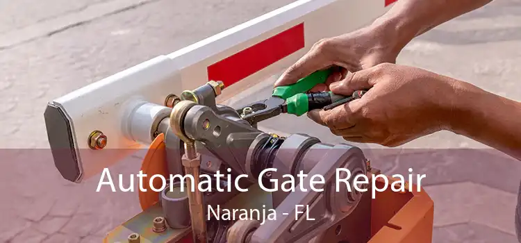 Automatic Gate Repair Naranja - FL