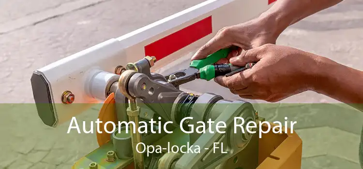  Automatic Gate Repair Opa-locka - FL