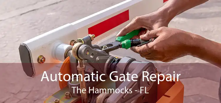  Automatic Gate Repair The Hammocks - FL