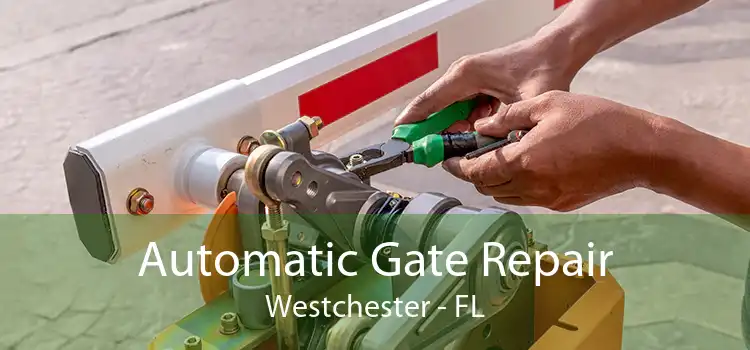  Automatic Gate Repair Westchester - FL