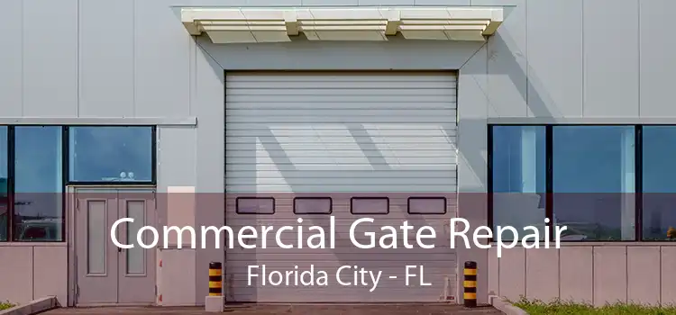  Commercial Gate Repair Florida City - FL