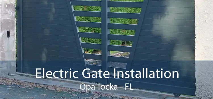  Electric Gate Installation Opa-locka - FL