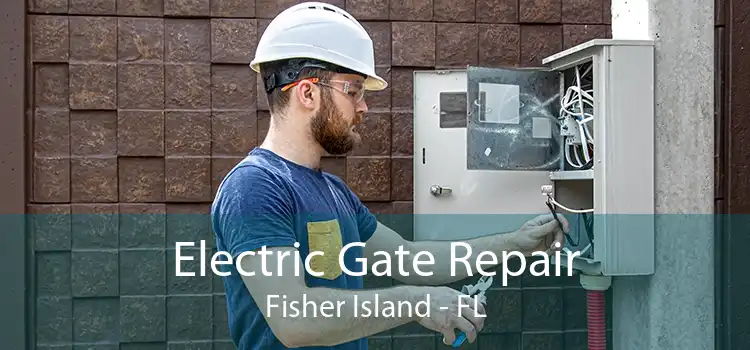  Electric Gate Repair Fisher Island - FL