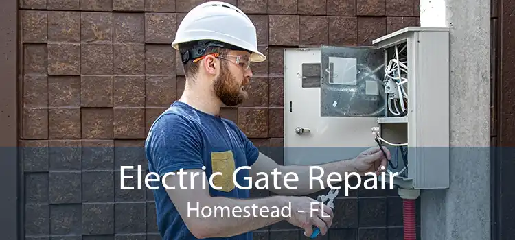  Electric Gate Repair Homestead - FL