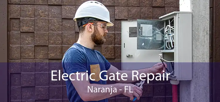  Electric Gate Repair Naranja - FL