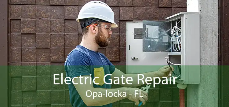  Electric Gate Repair Opa-locka - FL