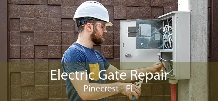  Electric Gate Repair Pinecrest - FL