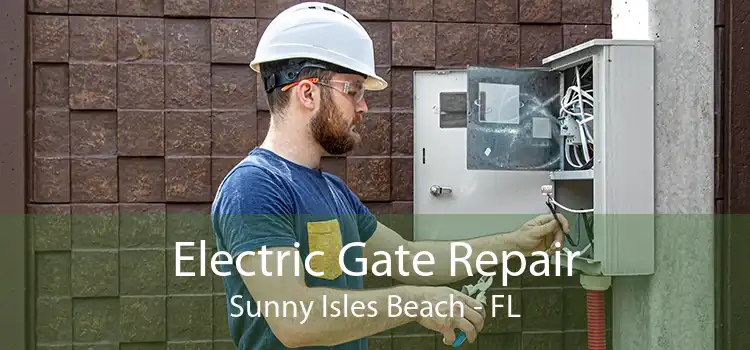  Electric Gate Repair Sunny Isles Beach - FL