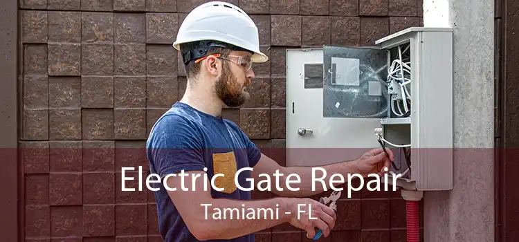  Electric Gate Repair Tamiami - FL