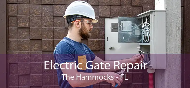  Electric Gate Repair The Hammocks - FL