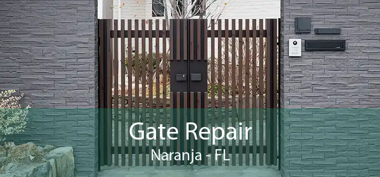 Gate Repair Naranja - FL