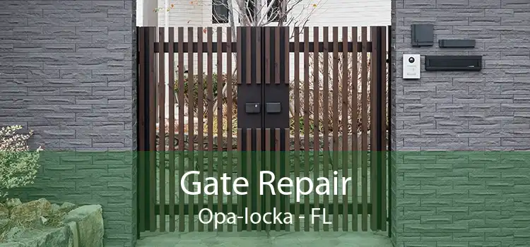  Gate Repair Opa-locka - FL